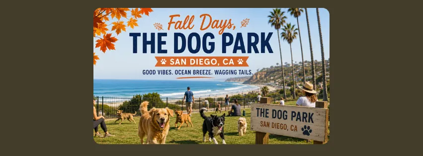 San Diego Roommates & Rooms for Rent | Find a Roommate in San Diego, CA